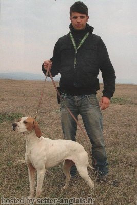 Pedigree DILA DEI DIPINTI Pedigree DILA DEI DIPINTI